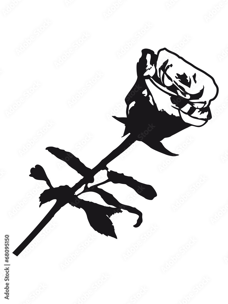 Fototapeta premium Schöne Rose Design
