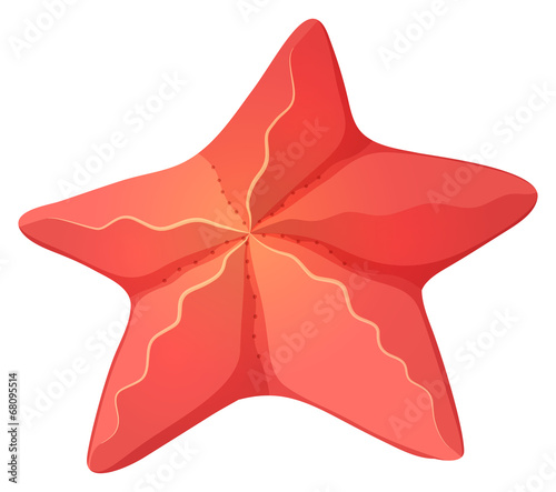 A starfish