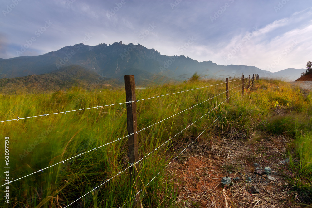 Grass field with Mt Kinabalu in Kundasang, Sabah, malaysia