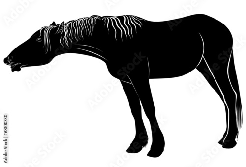 horse