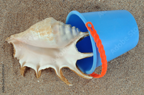 Le seau de plage et le coquillage photo