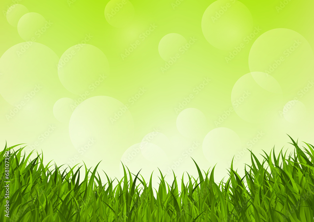 Fresh grass on green background