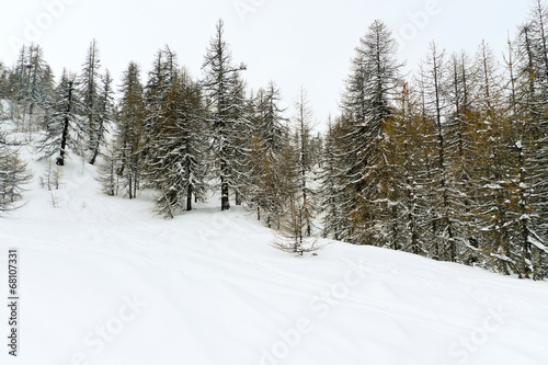 snow mountain slope in skiing area Via Lattea