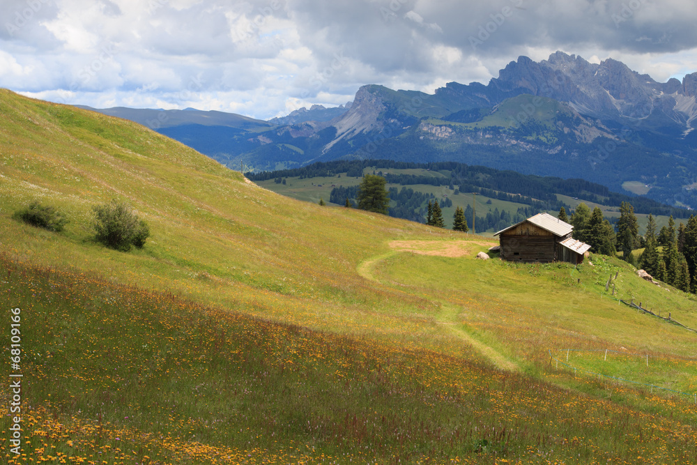 Fototapeta premium Alpe di Siusi