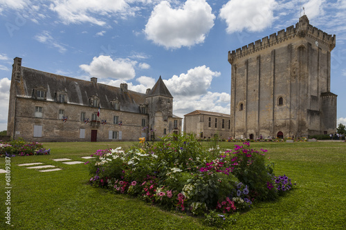 Chateau et donjon de Pons