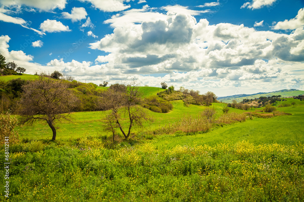 green meadow in the central Sicily