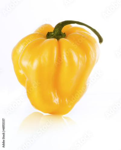 Gelbe scharfe Chilischoten (Scotch Bonnet) photo