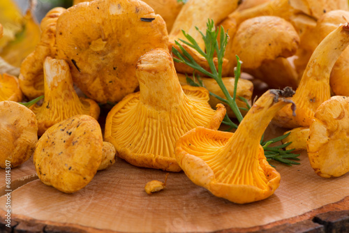 chanterelle on a wooden background, close-up, selective focus
