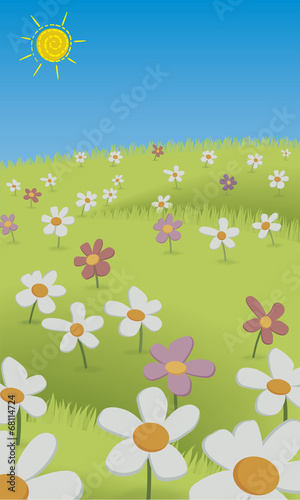 Field full of daisies_vertical. In the sky the sun shines