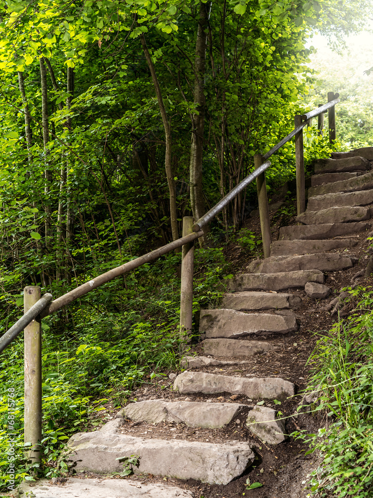 Staircase in the forest