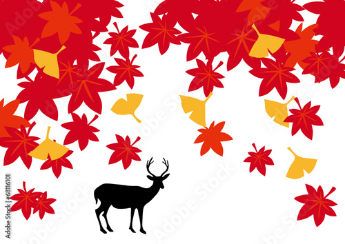 紅葉_鹿_白