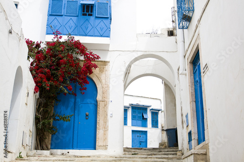 Blue doors, window and white wall of building in Sidi Bou Said © myrka