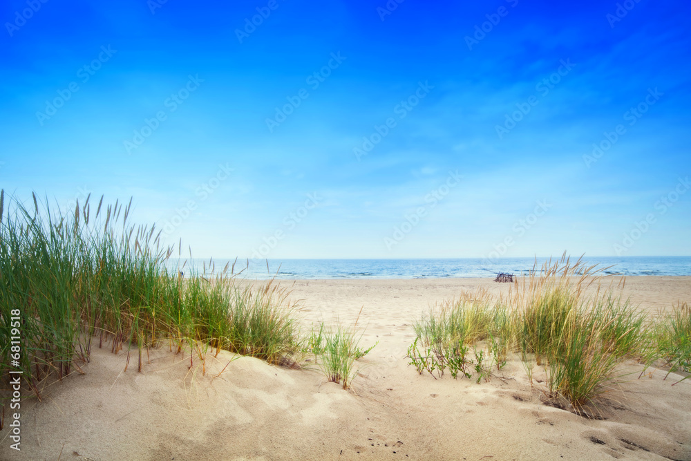 Naklejka premium Spokojna plaża z wydmami i zieloną trawą. Spokojny ocean