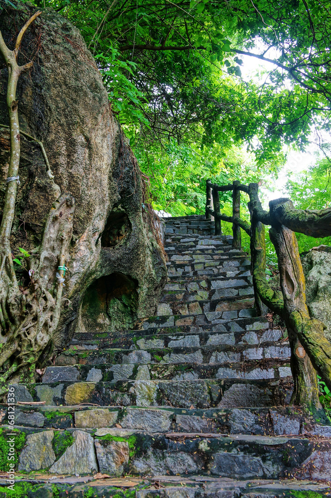 Fototapeta premium Niesamowite kamienne schody, ogrodzenie, drzewo