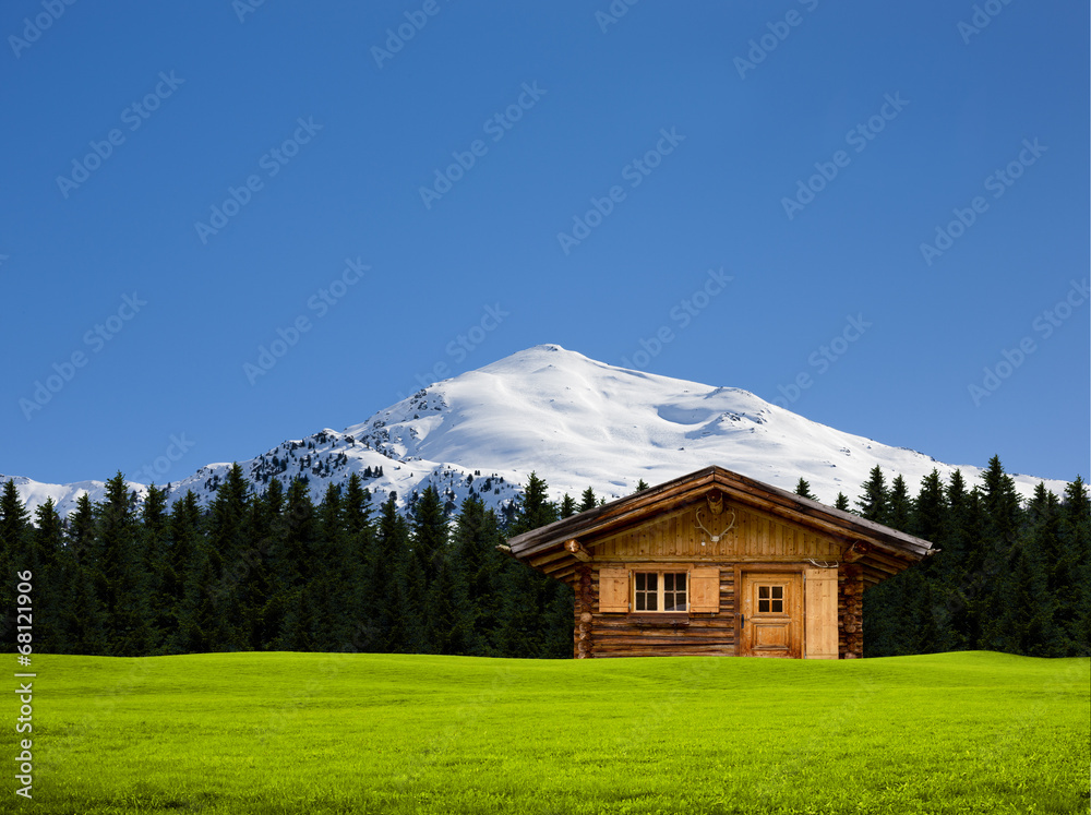 Obraz premium Almhütte am Waldrand