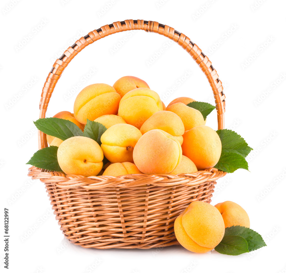 fresh apricots in a basket isolated on white background fresh apricots in a basket isolated on white background