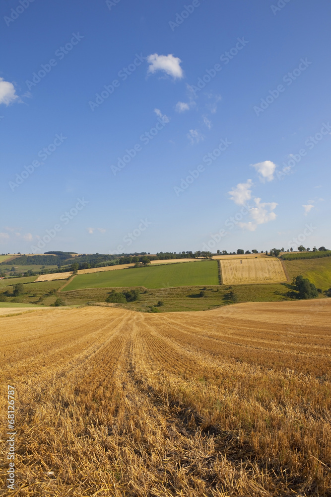 harvest time scenery