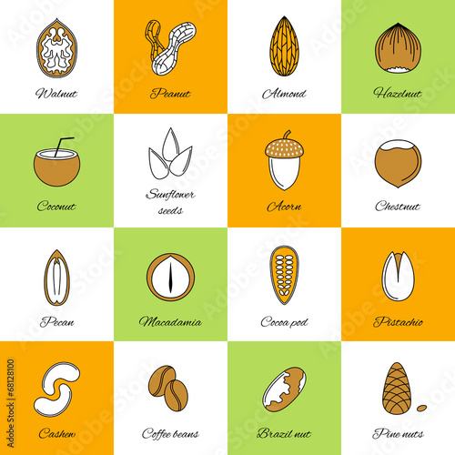 Set of nuts icons