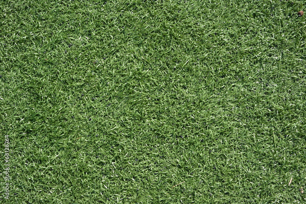 Obraz premium Lawn football field (soccer field). Realistic textured grass