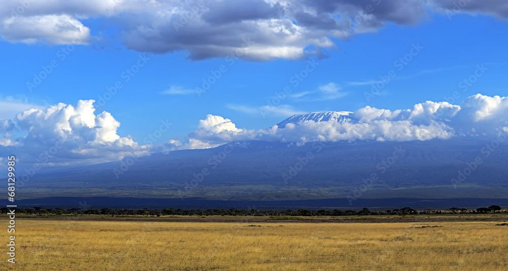 Panorama of the African savannah