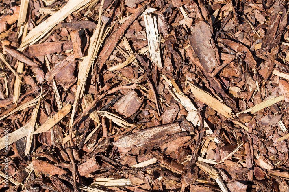 Wooden mulch Wooden mulch