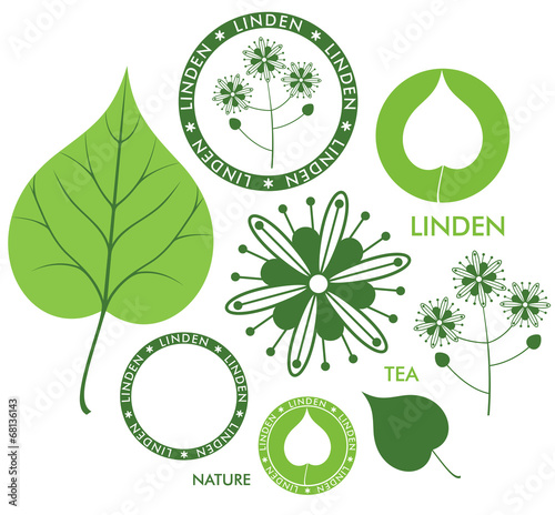 Linden