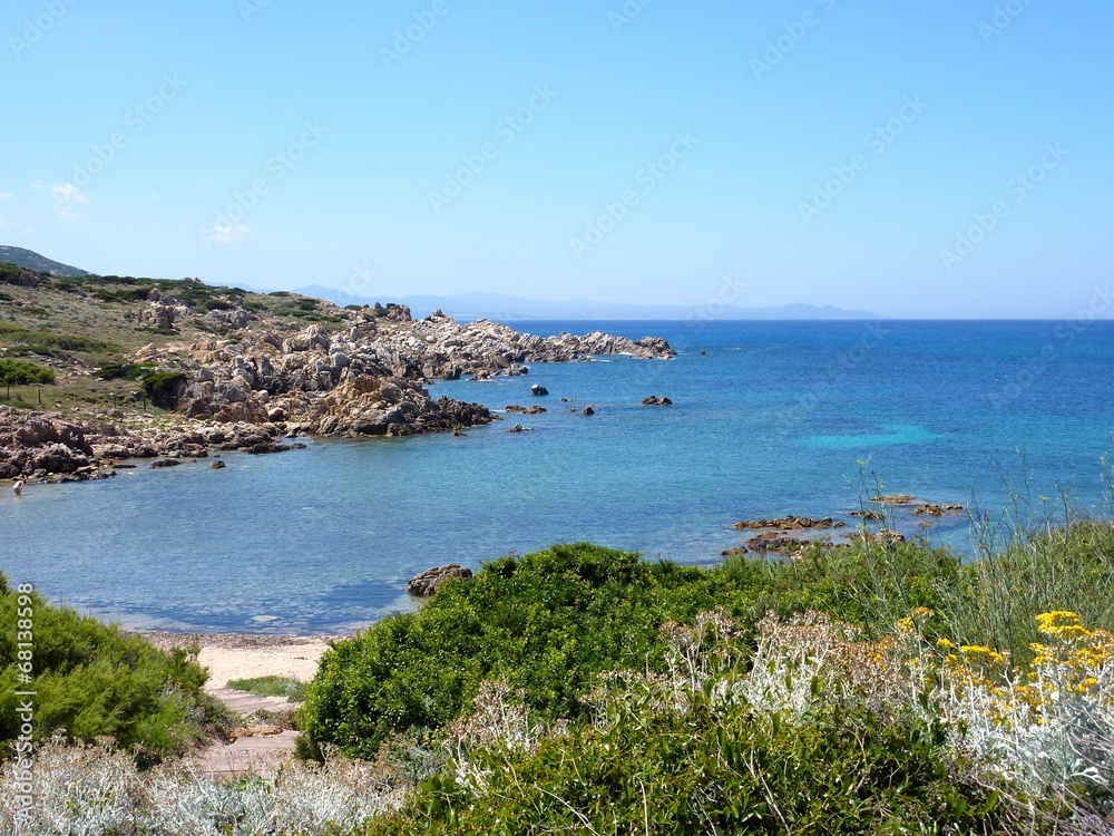 vegetazione mediterranea di fronte al mare