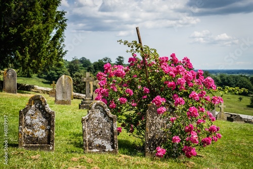 Tombsones with wild roses