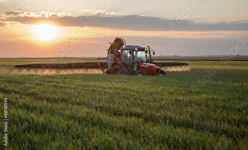 Spraying wheat crops field with tractor and sprayer