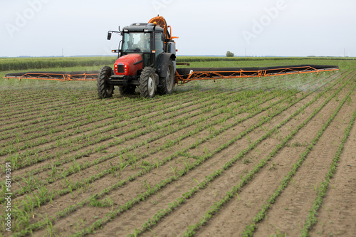 Spraying soya bean field at spring