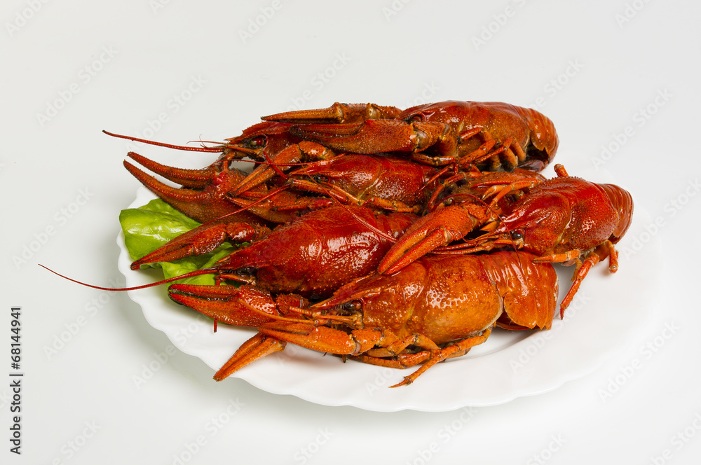 crayfish on the plate crayfish on the plate