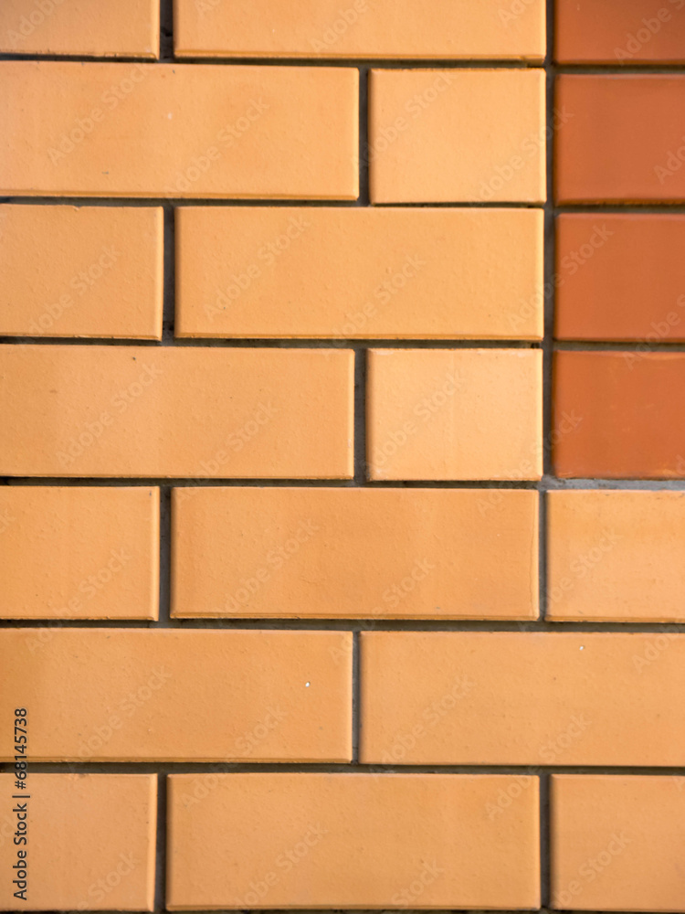 Obraz premium Two colors brick wall