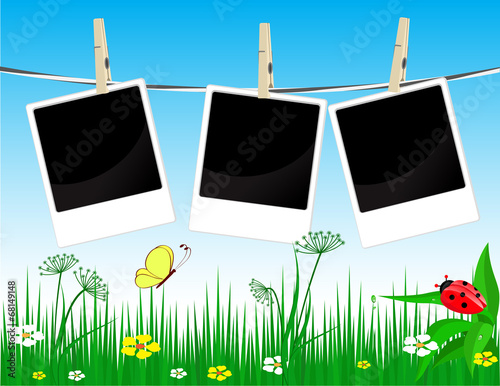 Photo frames on the summer  background
