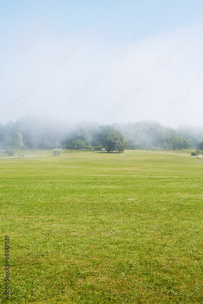 Fototapeta premium Morning mist over trees in field