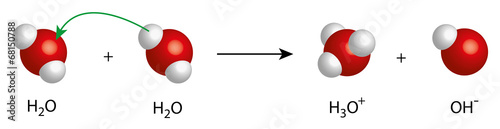 autoprotolysis of water