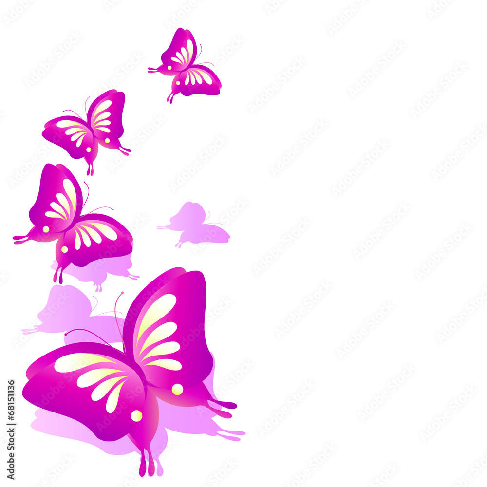 butterflies design butterflies design