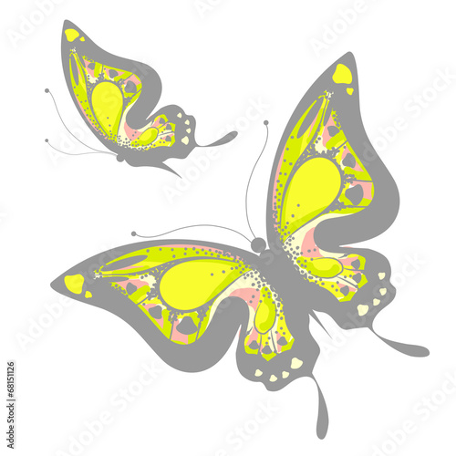 butterflies design