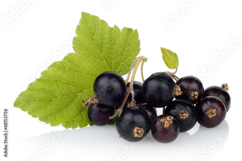 Photo of blackcurrant with leaf isolated on white