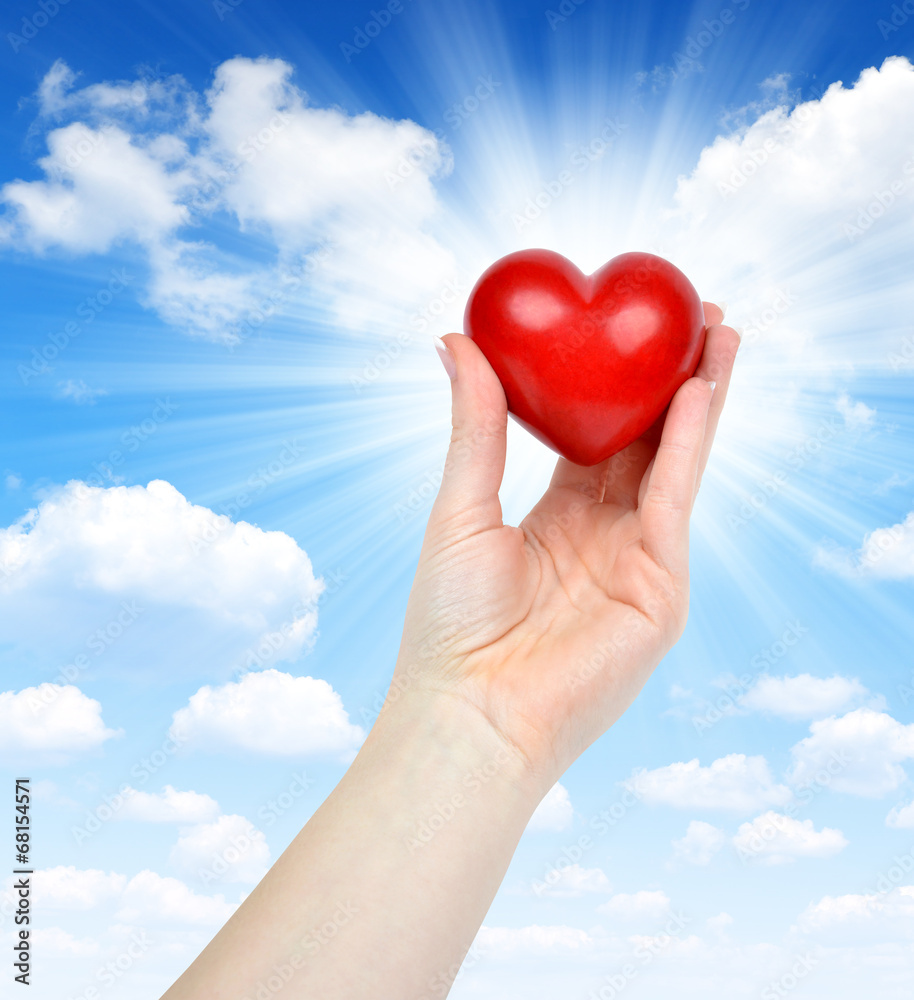 Obraz premium heart in hand
