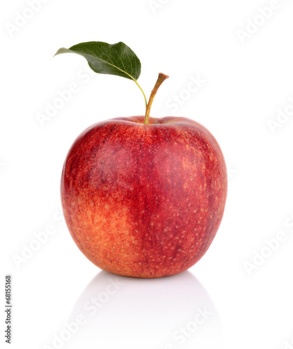 Studio shot of red apple with leaf