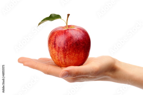 Studio shot of red apple with leaf on hand
