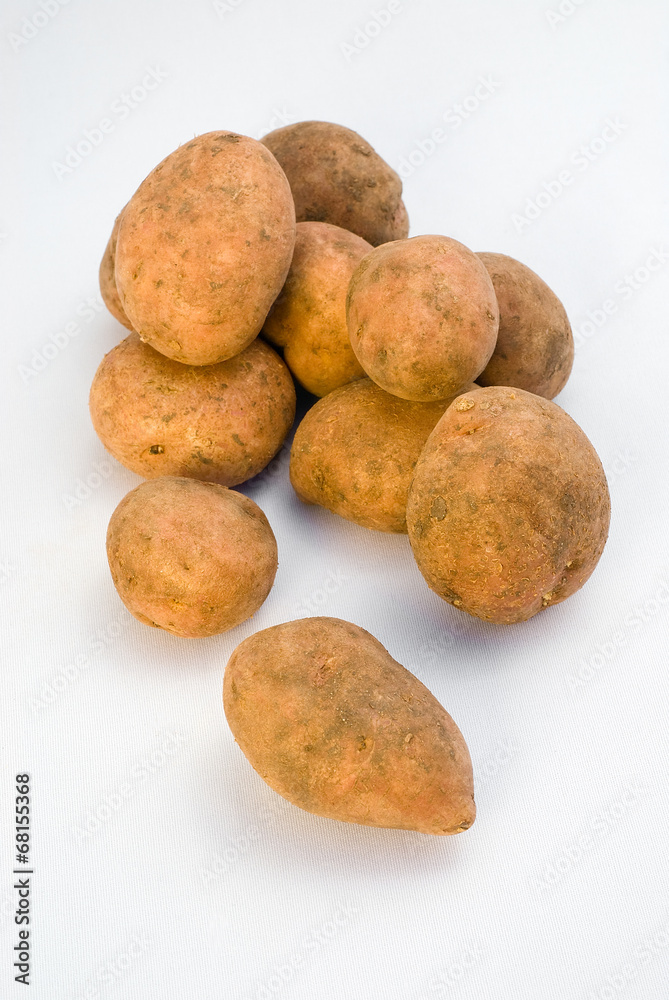 Fototapeta premium Colfiorito Red Potatoes