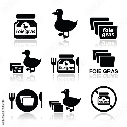 Foie gras, duck or goose icons set