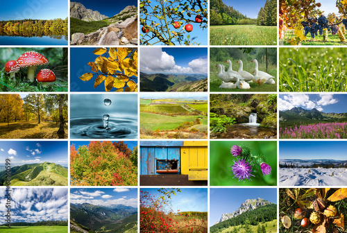 Collage of nature photos