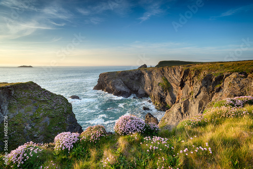 Obraz na płótnie Cornwall Coastline