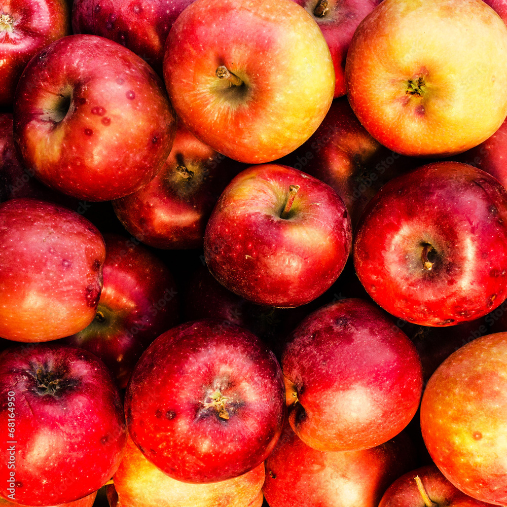 Red ripe apples may use as summer fruit background Red ripe apples may use as summer fruit background