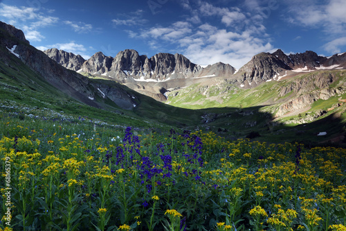 Wildflowers at American Basin in the Colorado Rockies photo