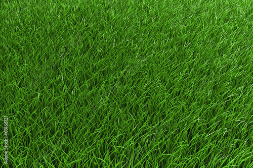 Wallpaper Mural Rasen 3D Torontodigital.ca