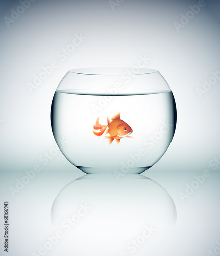 vetro, cristallo, acqua, pesce