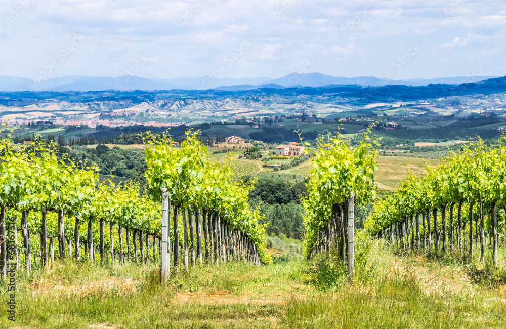 Typical Tuscany landscape with vineyards,Italy